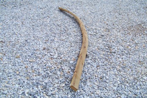 1994 Ford F-150 - A curved wooden stick rests on a gravel surface, with a watermark in the lower right corner.