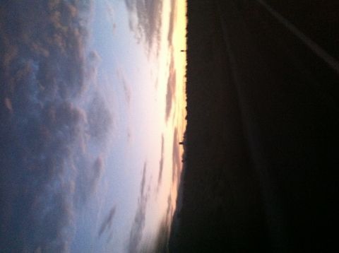 1993 Ford Probe - Sunset sky with clouds over a dark horizon line with silhouetted trees and structures.