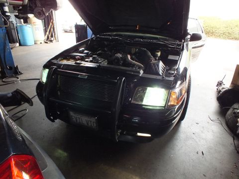 2003 Ford Crown Victoria - Front view of black push-bar sedan on shop floor, hood raised over intercooler, vanity plate EVIL VTC