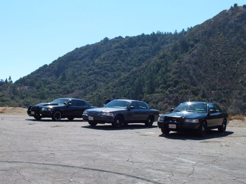 2003 Ford Crown Victoria - Three cars spread across a paved turnout, sun flaring off front ends, people standing center, green hill behind