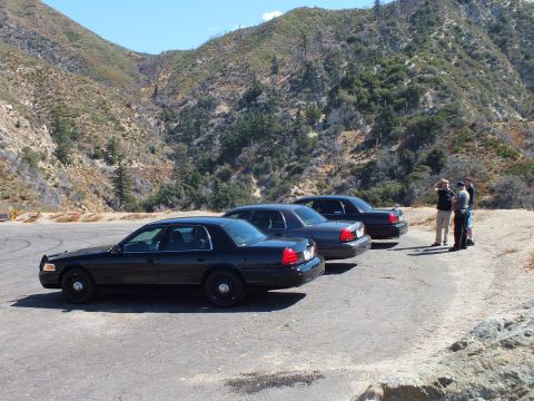 2003 Ford Crown Victoria - Four black sedans sit in a row on a canyon pullout while three men gather near the lead car.