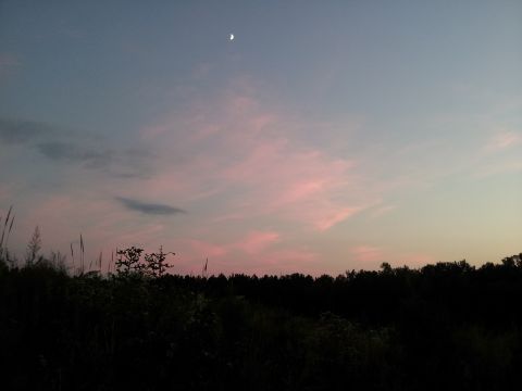 1986 Ford Bronco - Sunset sky with crescent moon visible over a silhouetted treeline and vegetation.