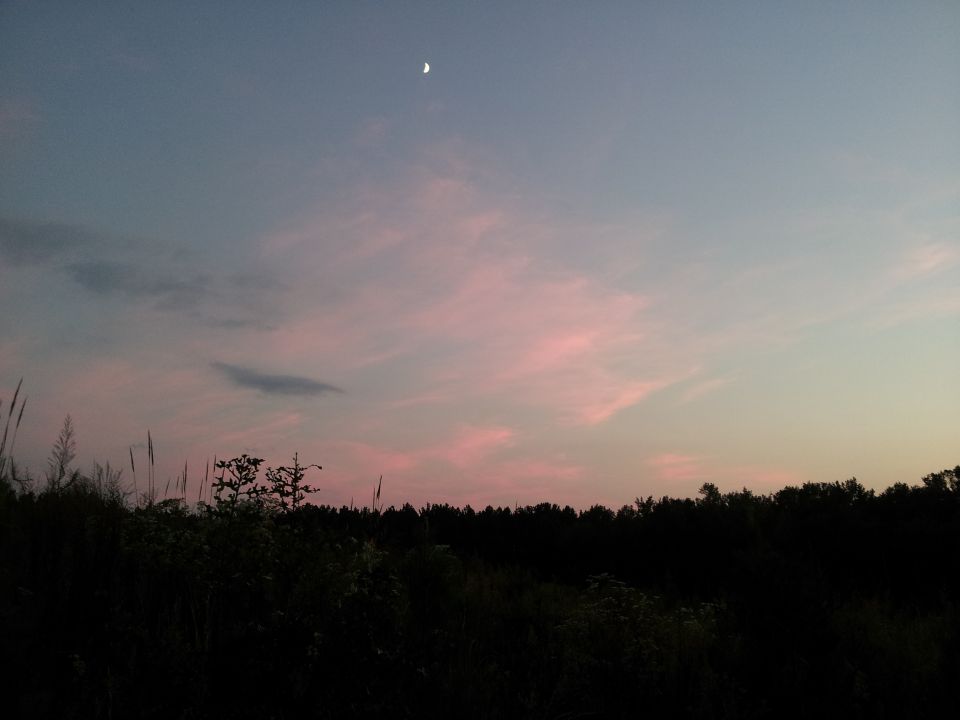 Sunset sky with crescent moon over dark trees and grass. Supermotors.net watermark