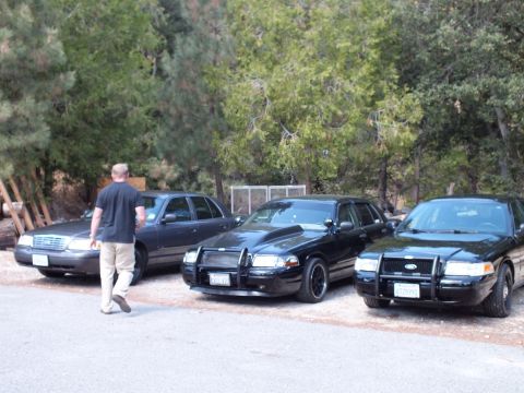 2003 Ford Crown Victoria - man approaches three dark sedans, two with push bars, parked on a shaded gravel drive