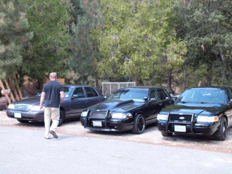 Man walking toward a row of black sedans with grille guards under trees