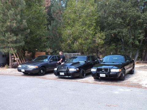 2003 Ford Crown Victoria - man stands by a gray sedan as two black push-bar sedans sit on a shaded gravel drive