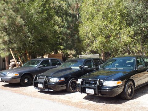 2003 Ford Crown Victoria - gray sedan and two black grille-guard sedans line a gravel drive in dappled forest light