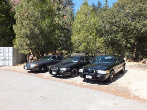 2003 Ford Crown Victoria - Dark sedans, two with push bars, sit angled on a forest gravel pad near a shipping container