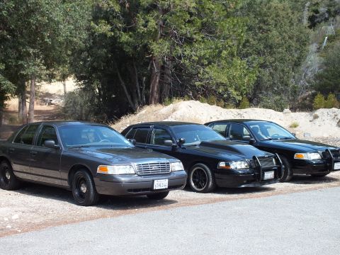 2003 Ford Crown Victoria - Trio of Crown Victorias, one gray and two black, lined up on a wooded dirt pullout.