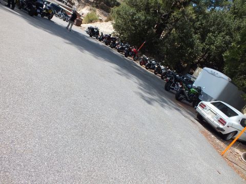 2003 Ford Crown Victoria - Row of motorcycles parked beside trees, with a white coupe and enclosed trailer at right.