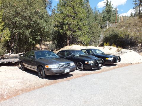 2003 Ford Crown Victoria - Gray and two black Crown Victorias staged on a gravel pullout, evergreens behind.