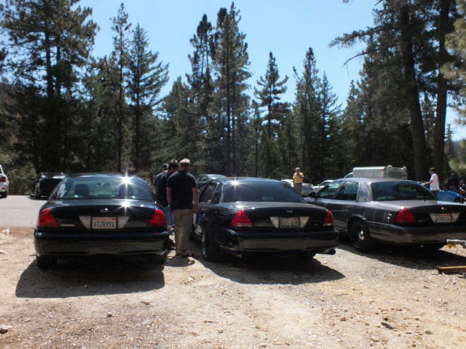 Rear view of black Ford Crown Victoria sedans parked in gravel lot with people