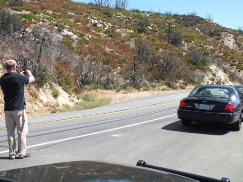 2003 Ford Crown Victoria - Bystander snaps a photo as a black Crown Victoria passes on a dry mountain road.