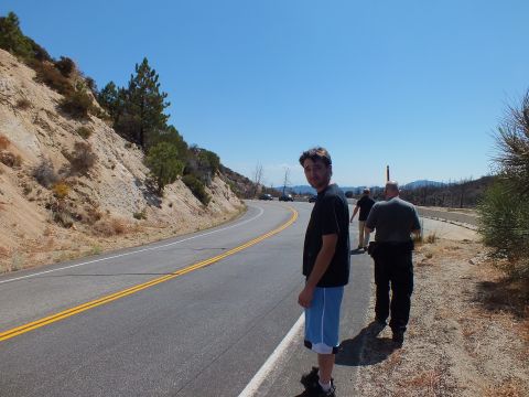 2003 Ford Crown Victoria - Person looks back from a roadside as others stand near parked cars in the distance.