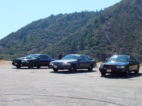 2003 Ford Crown Victoria - Group of Crown Victoria sedans backlit by sun in a hillside parking area