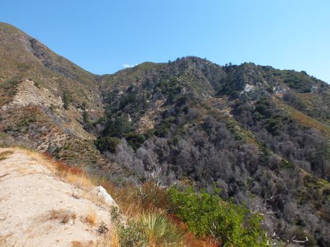 2003 Ford Crown Victoria - Chaparral and pine-dotted mountain slope viewed from a sandy pullout edge