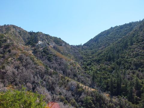 2003 Ford Crown Victoria - Green tree-covered mountain canyon with power lines crossing the valley floor