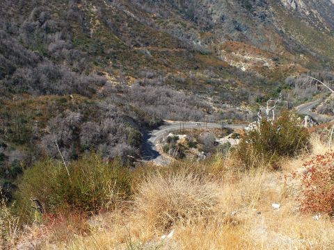 2003 Ford Crown Victoria - paved hairpin road curves through chaparral on a steep canyon slope.