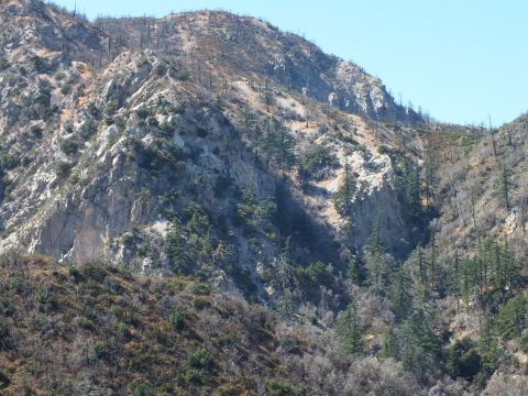 2003 Ford Crown Victoria - Sparse conifers and pale rock outcrops cover a steep, partly scorched mountain ridge.