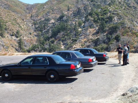 2003 Ford Crown Victoria - staggered line of black sedans faces the hillside as people gather at the road edge.