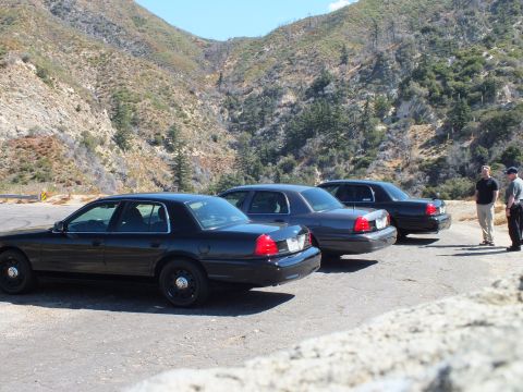 2003 Ford Crown Victoria - row of black sedans angled toward the canyon with two men standing beside them.