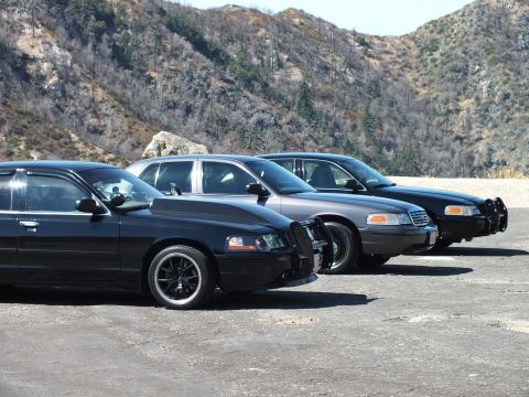 2003 Ford Crown Victoria - line of black full-size sedans, including push-bar Crown Victorias, at a pullout.