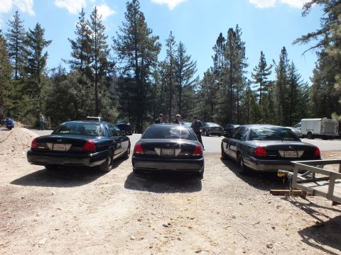 2003 Ford Crown Victoria - Three black sedans back into a forested gravel lot with people gathered behind them.