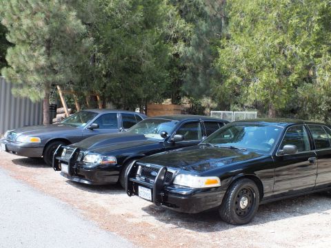 2003 Ford Crown Victoria - Black push-bar sedans and a silver Crown Victoria parked along a tree-lined gravel lot.