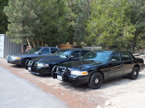 2003 Ford Crown Victoria - row of three blacked-out Panther-platform Ford sedans, front one fitted with a chrome grille guard.
