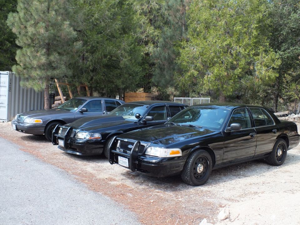 Three black Ford Crown Victoria sedans with push bars parked on gravel by pine trees