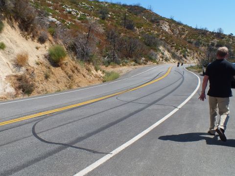 2003 Ford Crown Victoria - Dark tire marks arc across a two-lane canyon road as a person walks the white line edge.