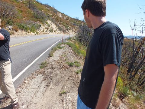 2003 Ford Crown Victoria - person watches from the gravel shoulder of a sunny canyon road lined with burnt brush.