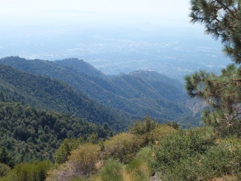 2003 Ford Crown Victoria - Pine-framed overlook of a smoggy basin seen from a tree-covered mountain crest