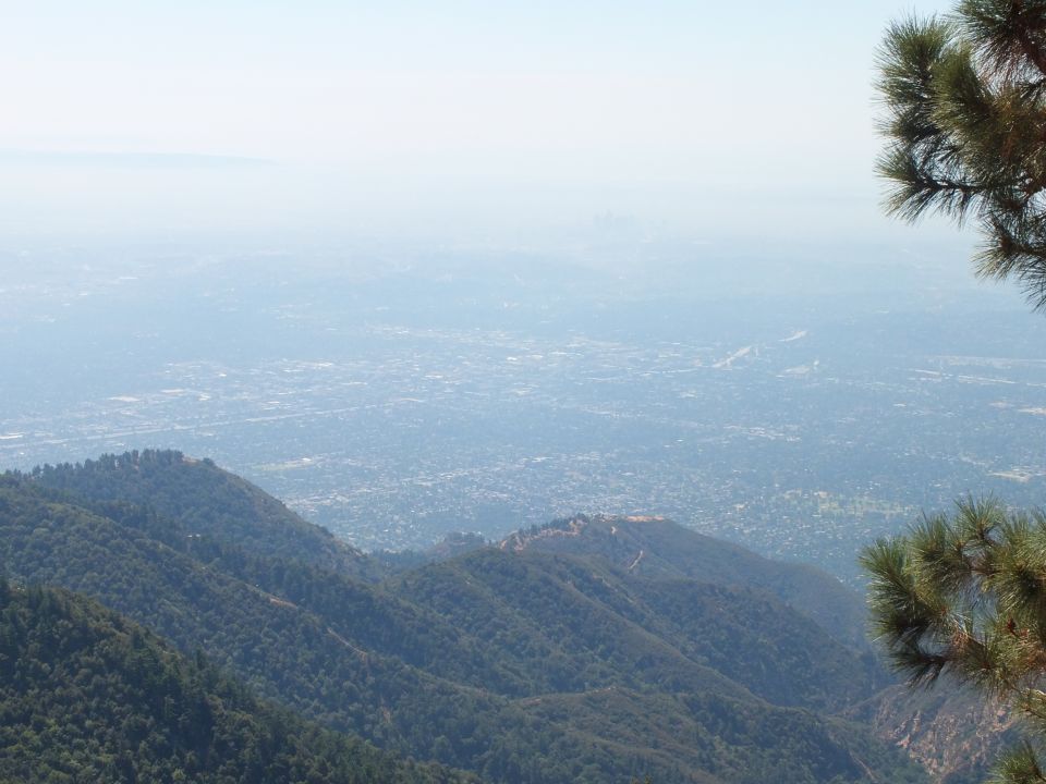 Dense haze over sprawling city basin viewed from wooded mountain with pine bough