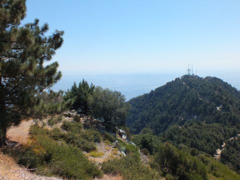 2003 Ford Crown Victoria - Antenna-crowned summit rises beyond green slopes and a foreground pine tree