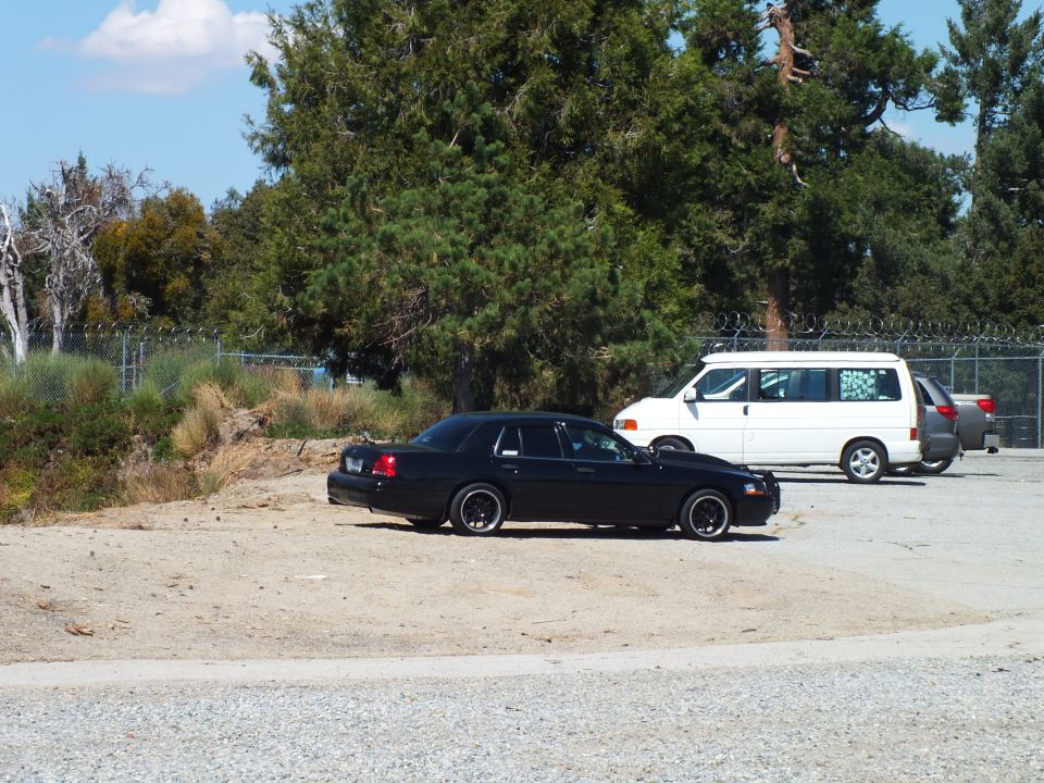 Black Ford Crown Victoria sedan and white minivan parked on gravel by pine trees