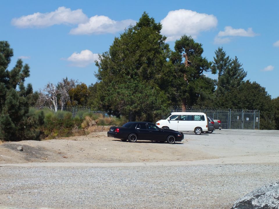 Black sedan and white van parked on gravel lot below pine trees and blue sky