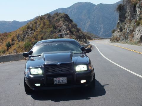 2003 Ford Crown Victoria - Front shot of a blacked-out Mercury with hood scoop and EVIL VIC plate, peaks behind.