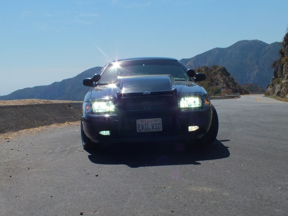 Black Ford Crown Victoria head-on with headlights lit and EVIL VIC California plate
