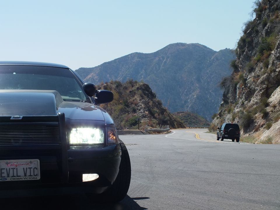 Black Ford Crown Victoria front corner with EVIL VIC plate, winding mountain road and SUV ahead