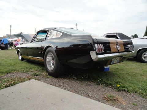 1964 Ford Fairlane - Rear view of a black 1965 Ford Mustang Fastback with gold racing stripes and a custom license plate.