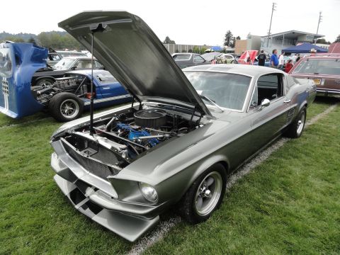 1964 Ford Fairlane - A gray 1967 Ford Mustang Fastback is displayed with its hood open at a car show.