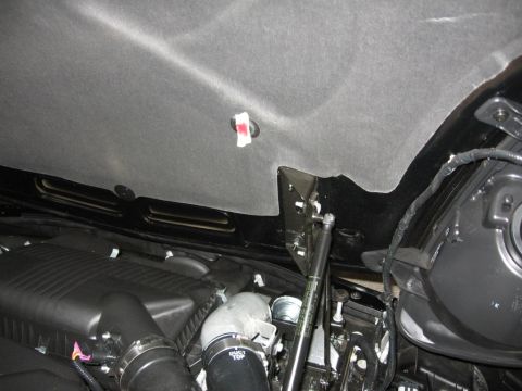 1995 Ford Bronco - The underside of the hood is lined with insulation, showing a gas strut and various engine parts below.
