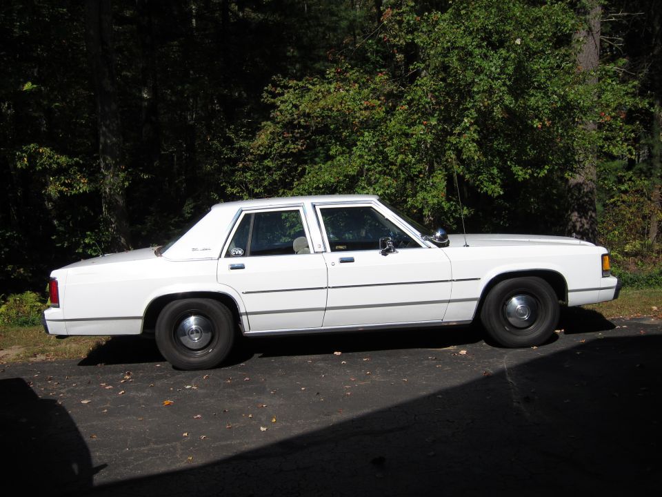 White sedan parked on asphalt, side view. Trees in background
