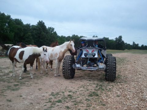 1967 Ford Mustang - An off-road buggy is parked near a group of horses in a rural setting.