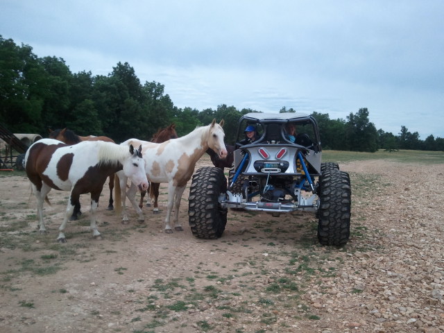 Silver off-road buggy with large tires and two people inside, standing near several horses in a dirt lot