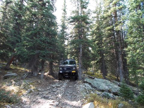 1986 Ford Bronco II - A dark SUV navigates a rough, rocky path through a dense forest.