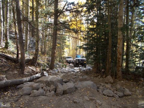 1986 Ford Bronco II - Two SUVs navigate a challenging, rocky path through a dense forest.