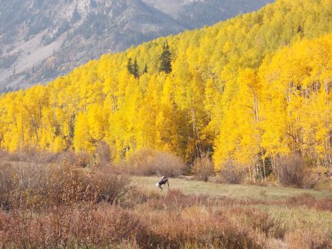 1986 Ford Bronco II - A person with a rifle stands in a field with bright yellow autumn trees and mountains in the background.
