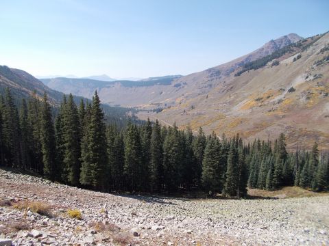 1986 Ford Bronco II - A scenic view of a mountain valley, a dense forest of pine trees and a winding dirt road under a clear blue sky.